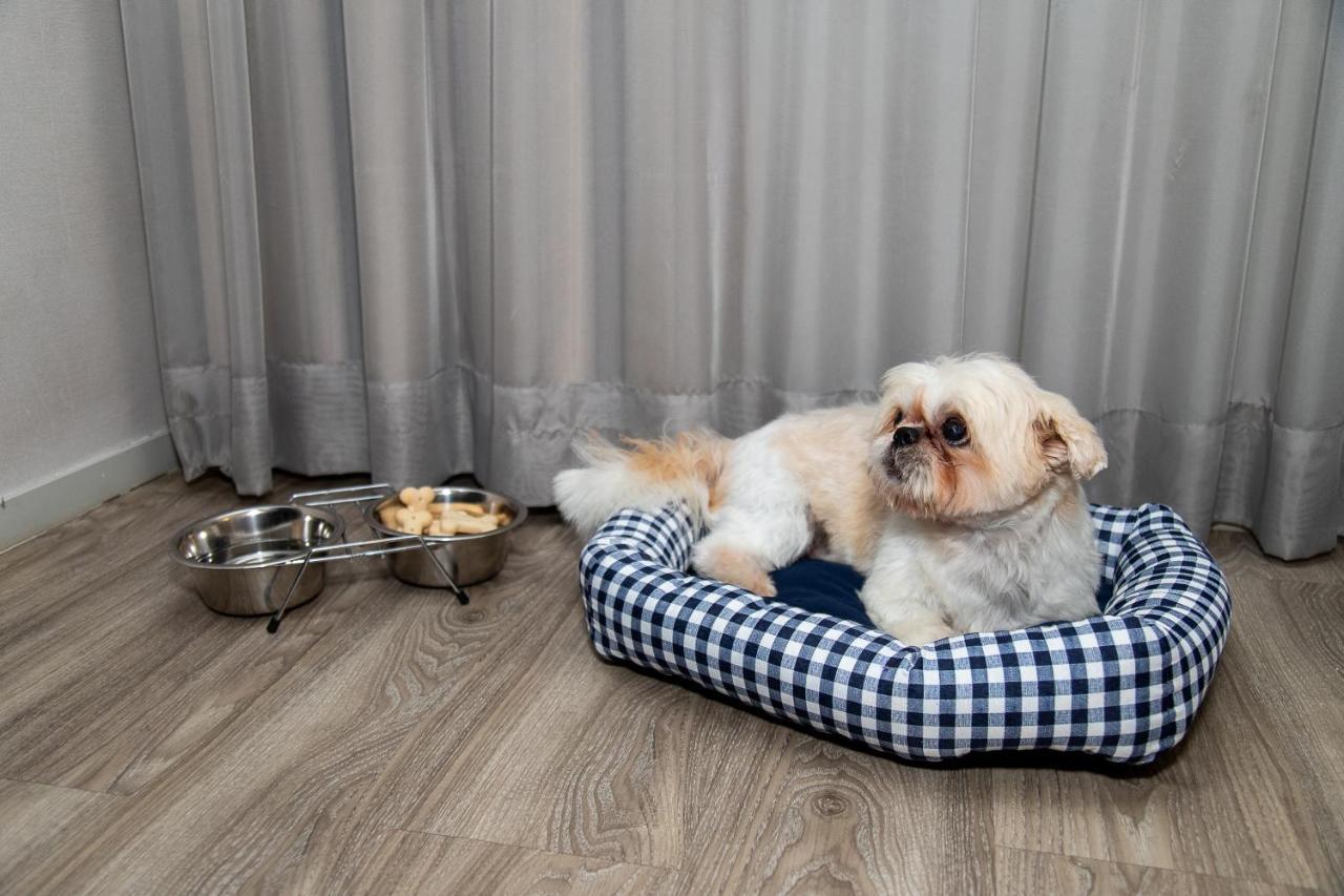 Radisson Rio De Janeiro Barra Hotel Exterior foto A dog in a dog bed